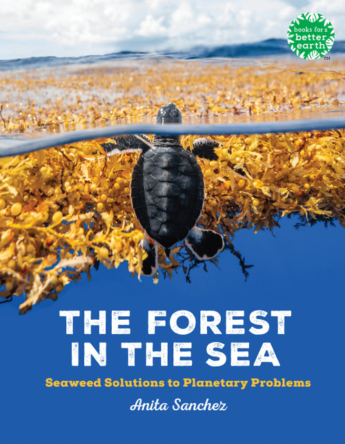 The Forest in the Sea (Seaweed Solutions to Planetary Problems) - 9780823458769 by Anita Sanchez, 9780823458769