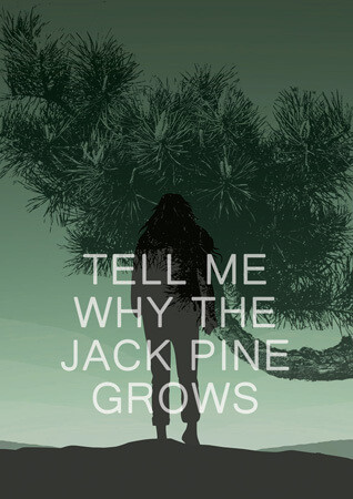 Tell Me Why the Jack Pine Grows - 9781978597242 by D. J. Brandon, 9781978597242