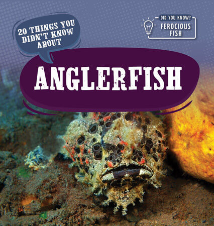 20 Things You Didn't Know About Anglerfish - 9781499444216 by Leonard Clasky, 9781499444216