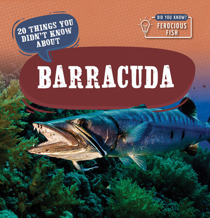 20 Things You Didn't Know About Barracuda - 9781499444247 by Leonard Clasky, 9781499444247