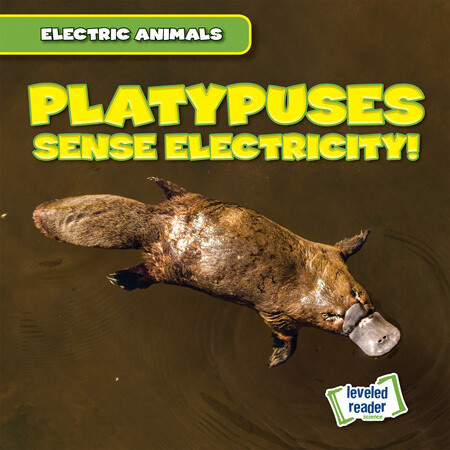 Platypuses Sense Electricity! - 9781538293003 by Louis Mallory, 9781538293003
