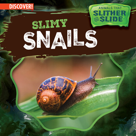Slimy Snails - 9781978537347 by Theresa Emminizer, 9781978537347