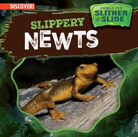 Slippery Newts by Theresa Emminizer, 9781978537378