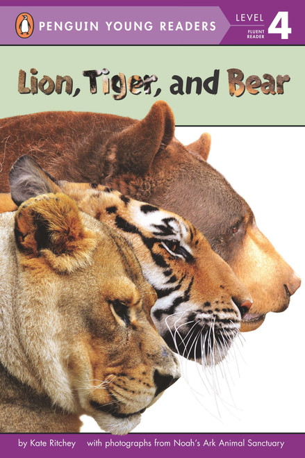 Lion, Tiger, and Bear by Kate Ritchey, 9780448483368