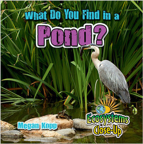 What Do You Find in a Pond? by Megan Kopp, 9780778722595