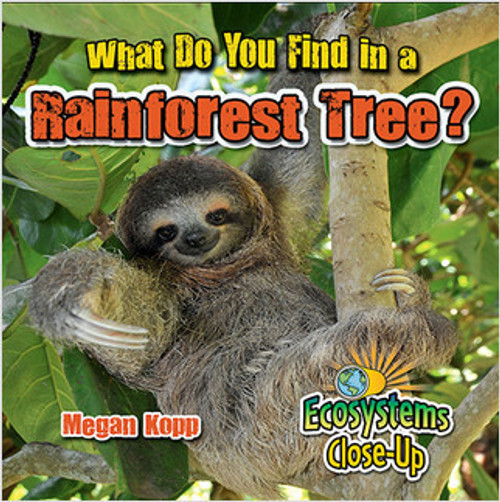 What Do You Find in a Rainforest Tree? by Megan Kopp, 9780778722618