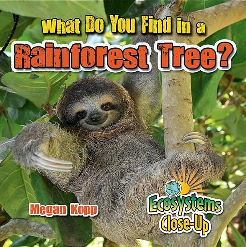 What Do You Find in a Rainforest Tree? - 9780778722816 by Megan Kopp
