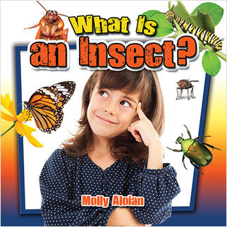 What Is an Insect? - 9780778712831 by Molly Aloian, 9780778712831