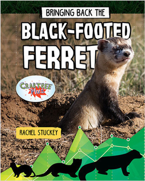 Bringing Back the Black-Footed Ferret by Rachel Stuckey, 9780778763123