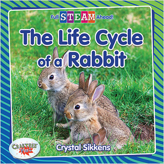 The Life Cycle of a Rabbit - 9780778762379 by Crystal Sikkens, 9780778762379
