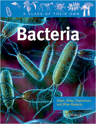 Bacteria: Staph, Strep, Clostridium, and Other Bacteria - 9780778753889 by Judy Wearing, 9780778753889