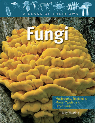 Fungi: Mushrooms, Toadstools, Molds, Yeasts, and Other Fungi by Judy Wearing, 9780778753759