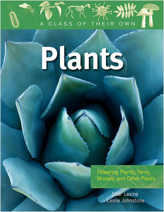 Plants: Flowering Plants, Ferns, Mosses, and Other Plants by Shar Levine, 9780778753902