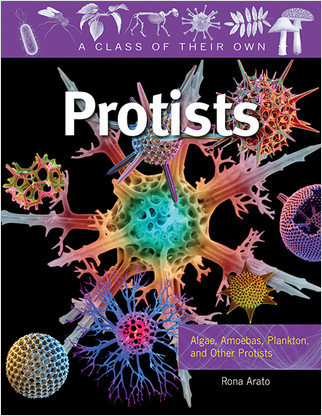 Protists: Algae, Amoebas, Plankton, and Other Protists by Rona Arato, 9780778753919