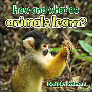 How and what do animals learn? by Bobbie Kalman, 9780778714620