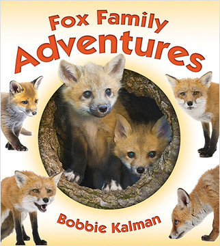 Fox Family Adventures by Bobbie Kalman, 9780778722328
