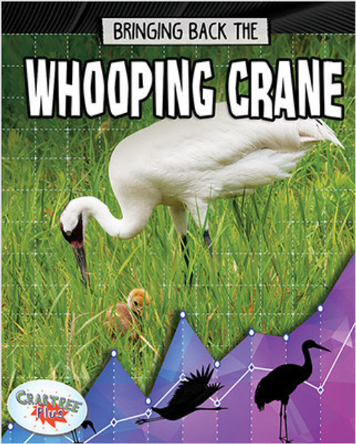 Bringing Back the Whooping Crane by Rachel Stuckey, 9780778749066
