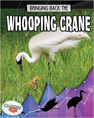 Bringing Back the Whooping Crane by Rachel Stuckey, 9780778749066