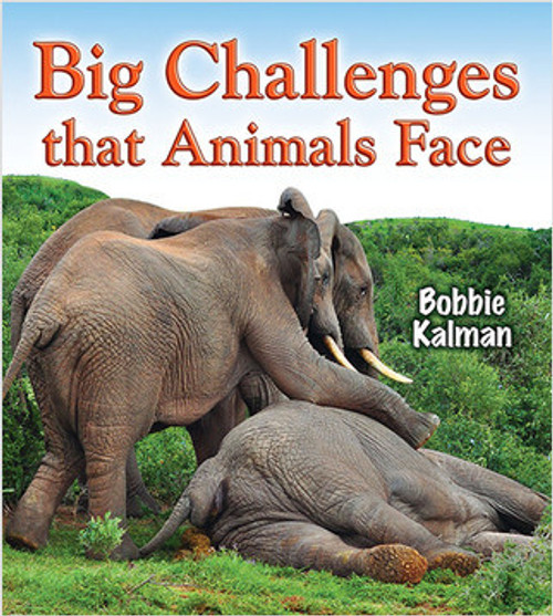 Big Challenges that Animals Face by Bobbie Kalman, 9780778727811