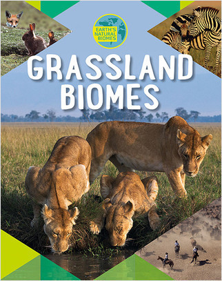 Grassland Biomes by Louise Spilsbury, 9780778739951