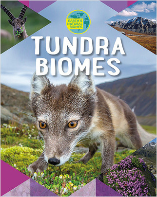 Tundra Biomes - 9780778741824 by Louise Spilsbury, 9780778741824