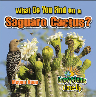 What Do You Find on a Saguaro Cactus? - 9780778722892 by Megan Kopp, 9780778722892