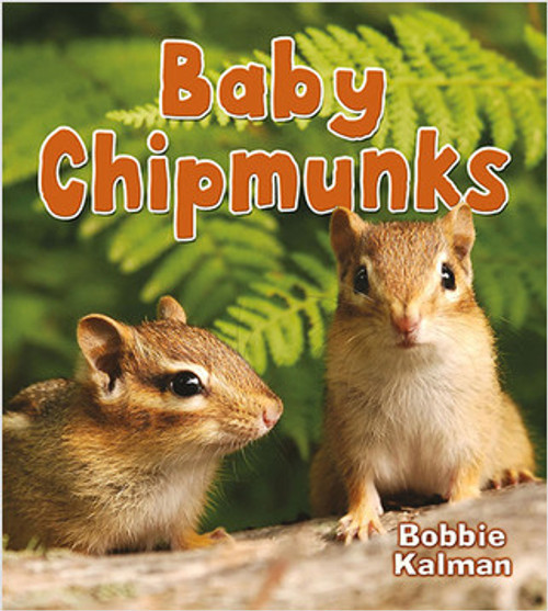 Baby Chipmunks - 9780778748977 by Bobbie Kalman, 9780778748977