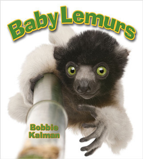 Baby Lemurs - 9780778748984 by Bobbie Kalman, 9780778748984