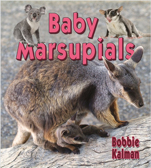 Baby Marsupials by Bobbie Kalman, 9780778740742