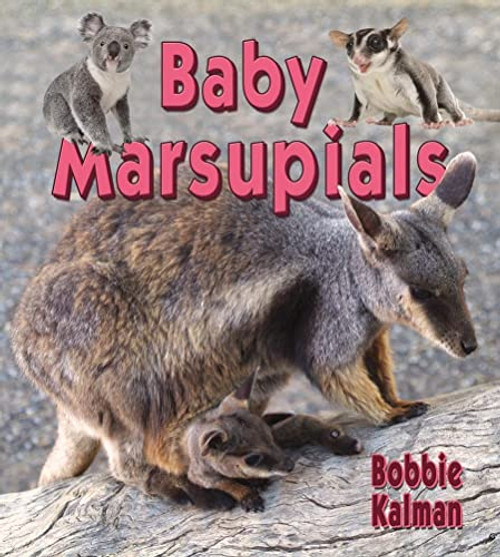 Baby Marsupials - 9780778740797 by Bobbie Kalman, 9780778740797