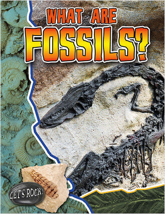 What Are Fossils? by Natalie Hyde, 9780778772149