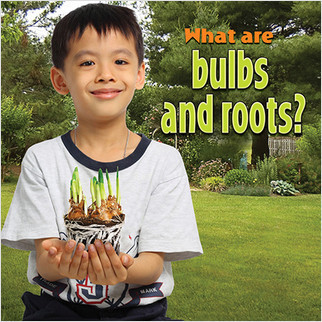 What are bulbs and roots? by Molly Aloian, 9780778742258