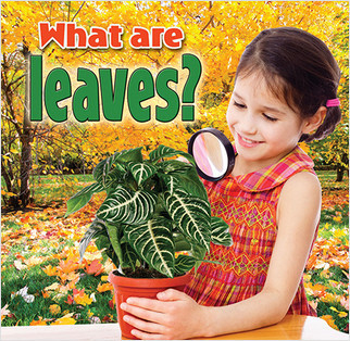 What are leaves? by Kelley MacAulay, 9780778700173