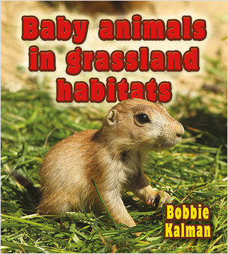 Baby animals in grassland habitats - 9780778777403 by Bobbie Kalman, 9780778777403