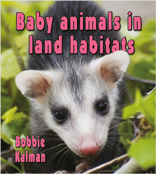 Baby animals in land habitats by Bobbie Kalman, 9780778777311