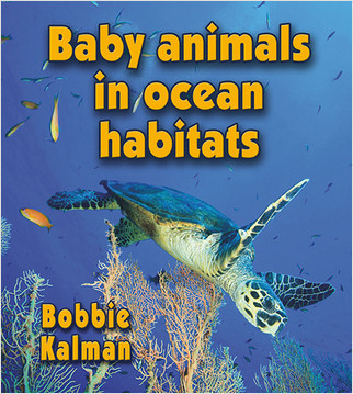 Baby animals in ocean habitats - 9780778777427 by Bobbie Kalman, 9780778777427