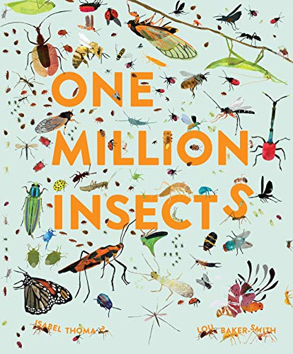 One Million Insects by Isabel Thomas, Lou Baker Smith, 9781803381824