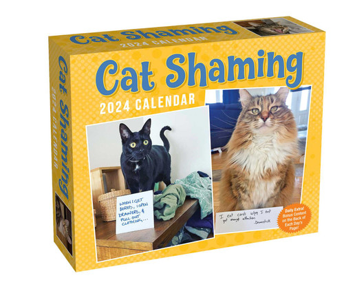 Cat Shaming 2024 Day-to-Day Calendar by Pedro Andrade, 9781524879938