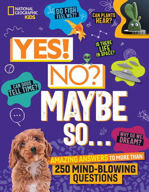 Yes! No? Maybe So... (Amazing Answers to More Than 250 Mind-Blowing Questions) by Julie Beer, Paige Towler, 9781426375859