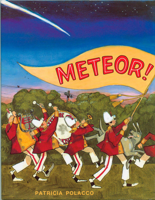 Meteor! by Patricia Polacco, 9780698114104