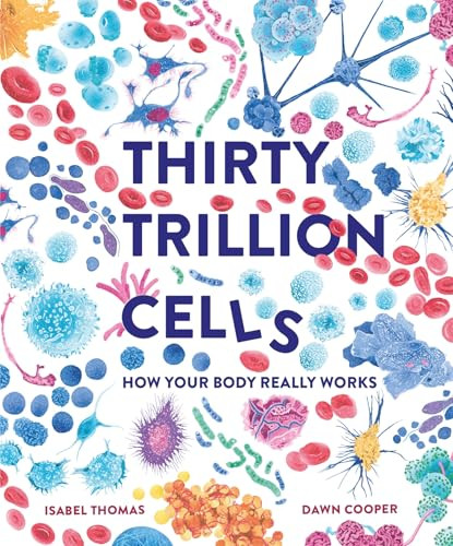 Thirty Trillion Cells (How Your Body Really Works) by Isabel Thomas, Dawn Cooper, 9781803380179
