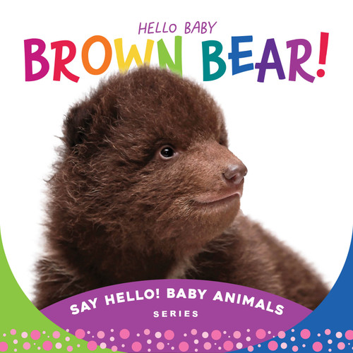 Hello Baby Brown Bear! by Beverly Rose, 9781534112841