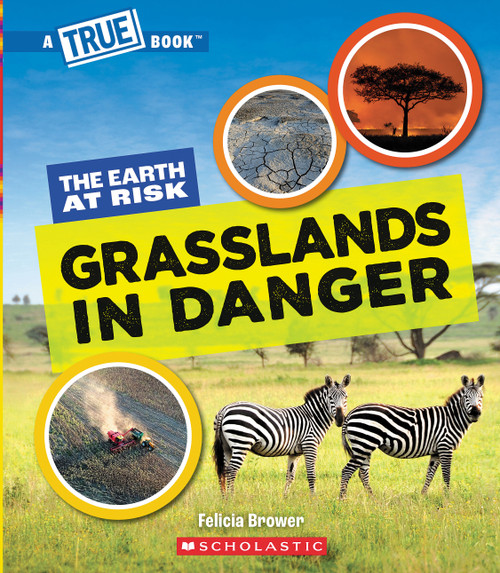 Grasslands in Danger (A True Book: The Earth at Risk) by Felicia Brower, 9781546102069