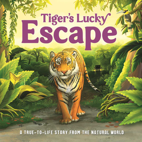 Tiger's Lucky Escape (A True-to-Life Story from the Natural World, Ages 5 & Up) by IglooBooks, Rose Harkness, Jenny  Palmer-Fettig, 9781837717767