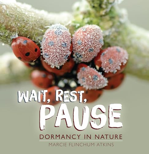 Wait, Rest, Pause (Dormancy in Nature) - 9781728477718 by Marcie Flinchum Atkins, 9781728477718