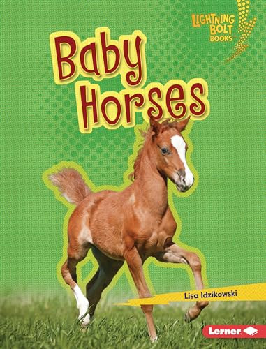 Baby Horses - 9798765626047 by Lisa Idzikowski, 9798765626047