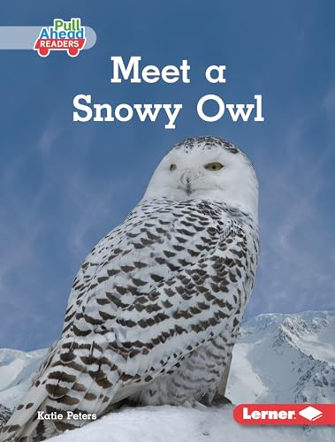 Meet a Snowy Owl by Katie Peters, 9798765626337