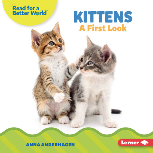 Kittens (A First Look) by Anna Anderhagen, 9798765626382