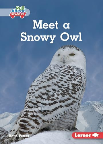 Meet a Snowy Owl - 9798765629321 by Katie Peters, 9798765629321