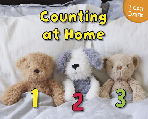 Counting at Home - 9781432966997 by Rebecca Rissman, 9781432966997
